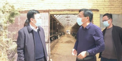 手写年鉴怎么做好看