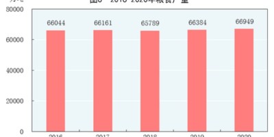 濮阳统计年鉴2020