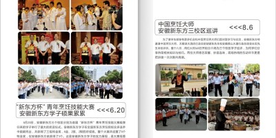 合肥年鉴关于义城人王志轩