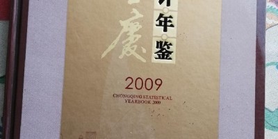 东兴年鉴历史汇总