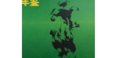 2016年庆阳年鉴下载PDF